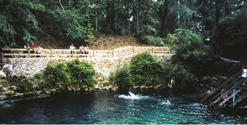 florida2 image