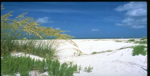 florida3 image