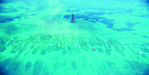 Florida Keys Lighthouse image