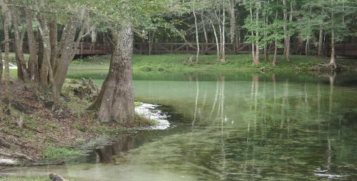 Gainesville Poe Springs image