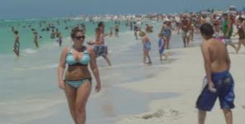 Siesta Key image