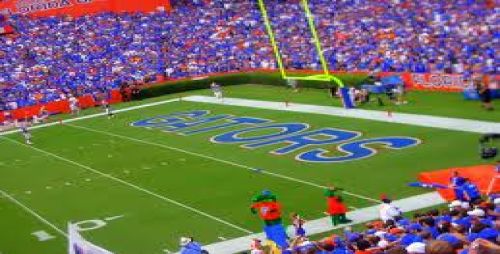 Gainesville Gators image